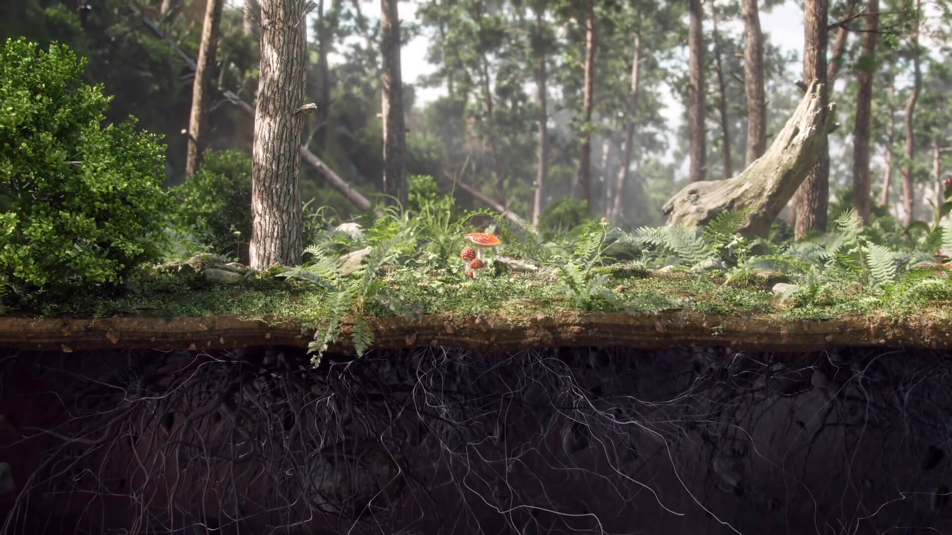 Ecovative_Gallery_01