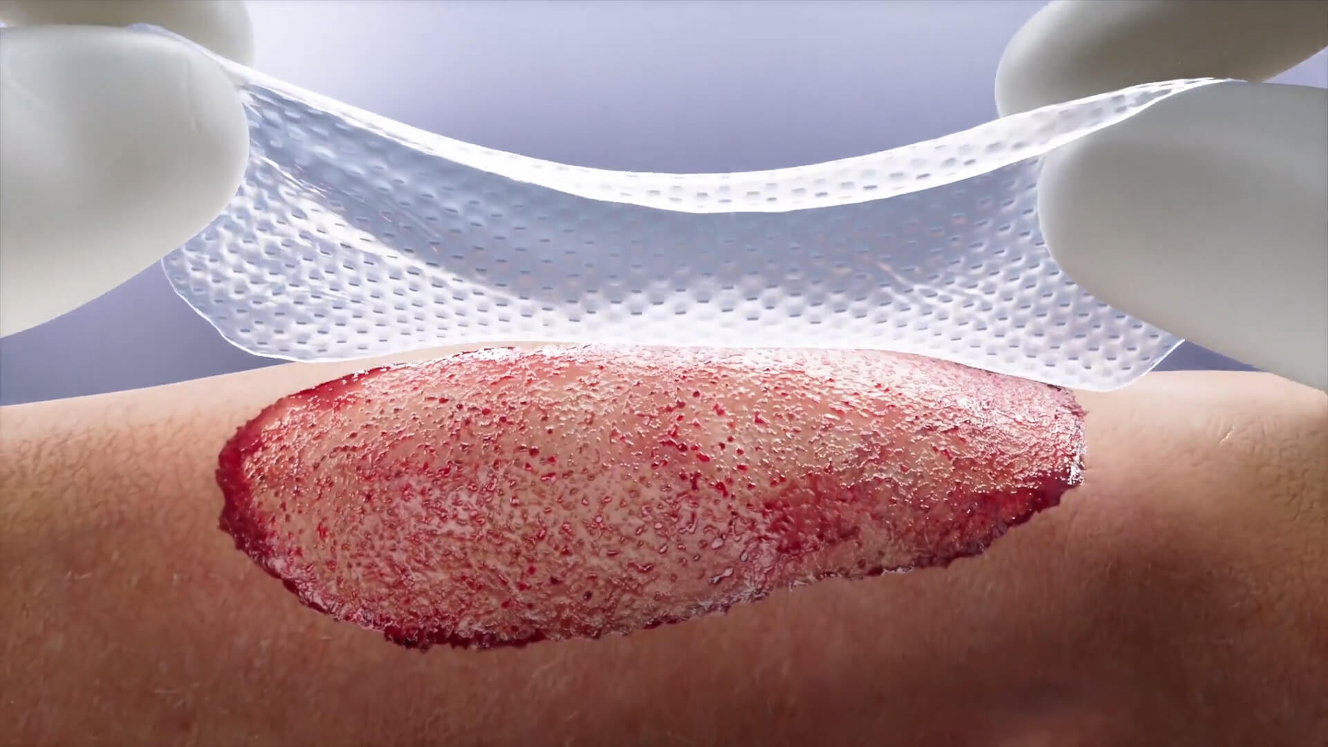 Stratagraft_Cell_Layers_03