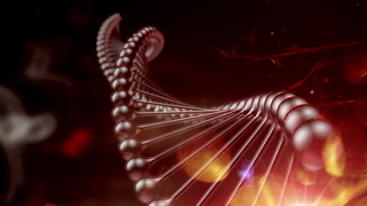 Plurality_Gallery_02