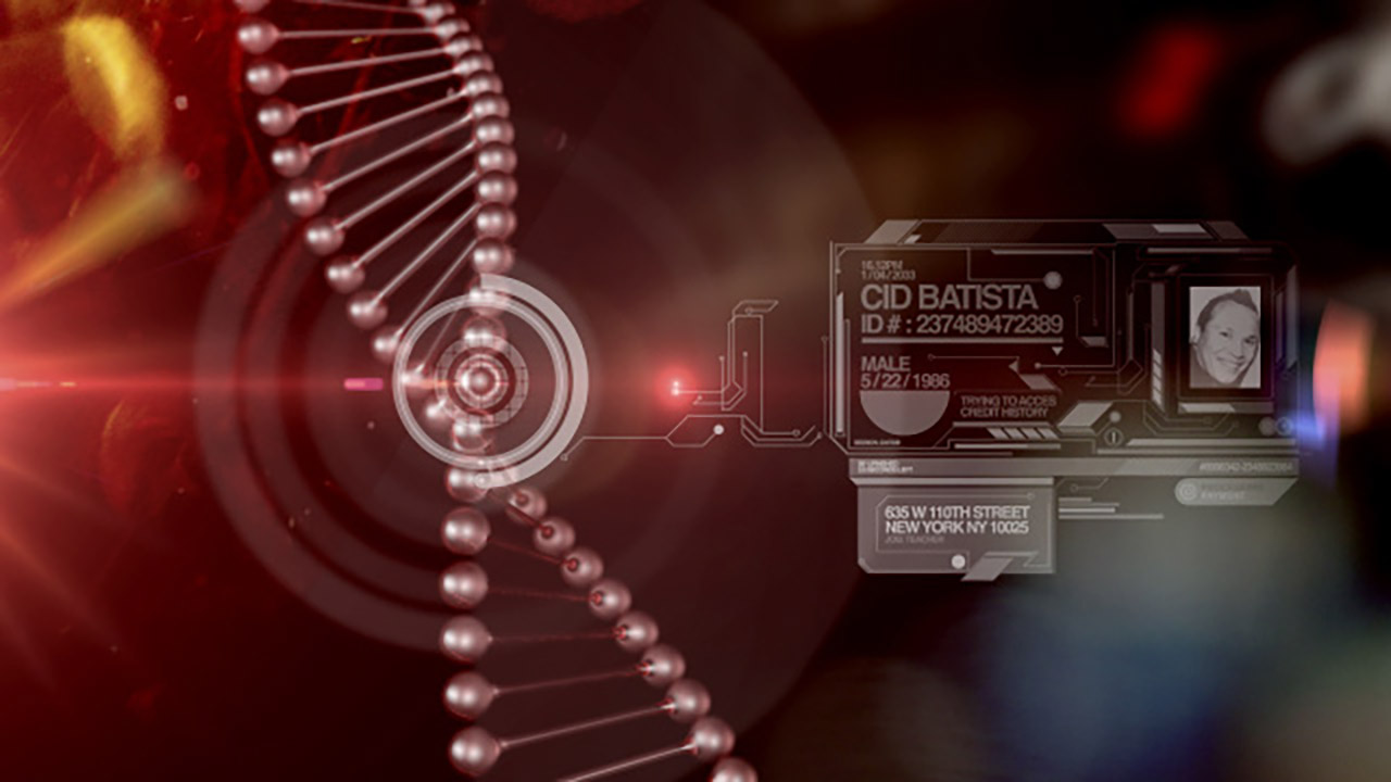 Plurality_Gallery_03