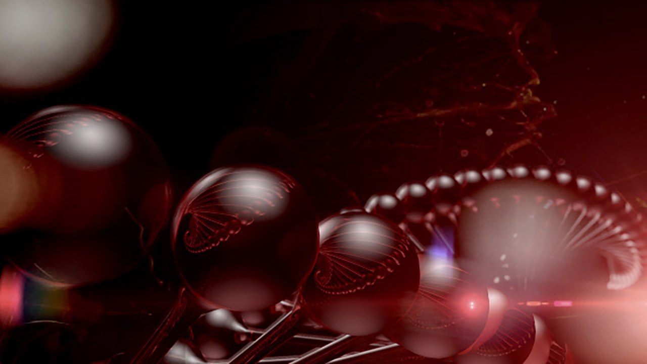 Plurality_Gallery_04