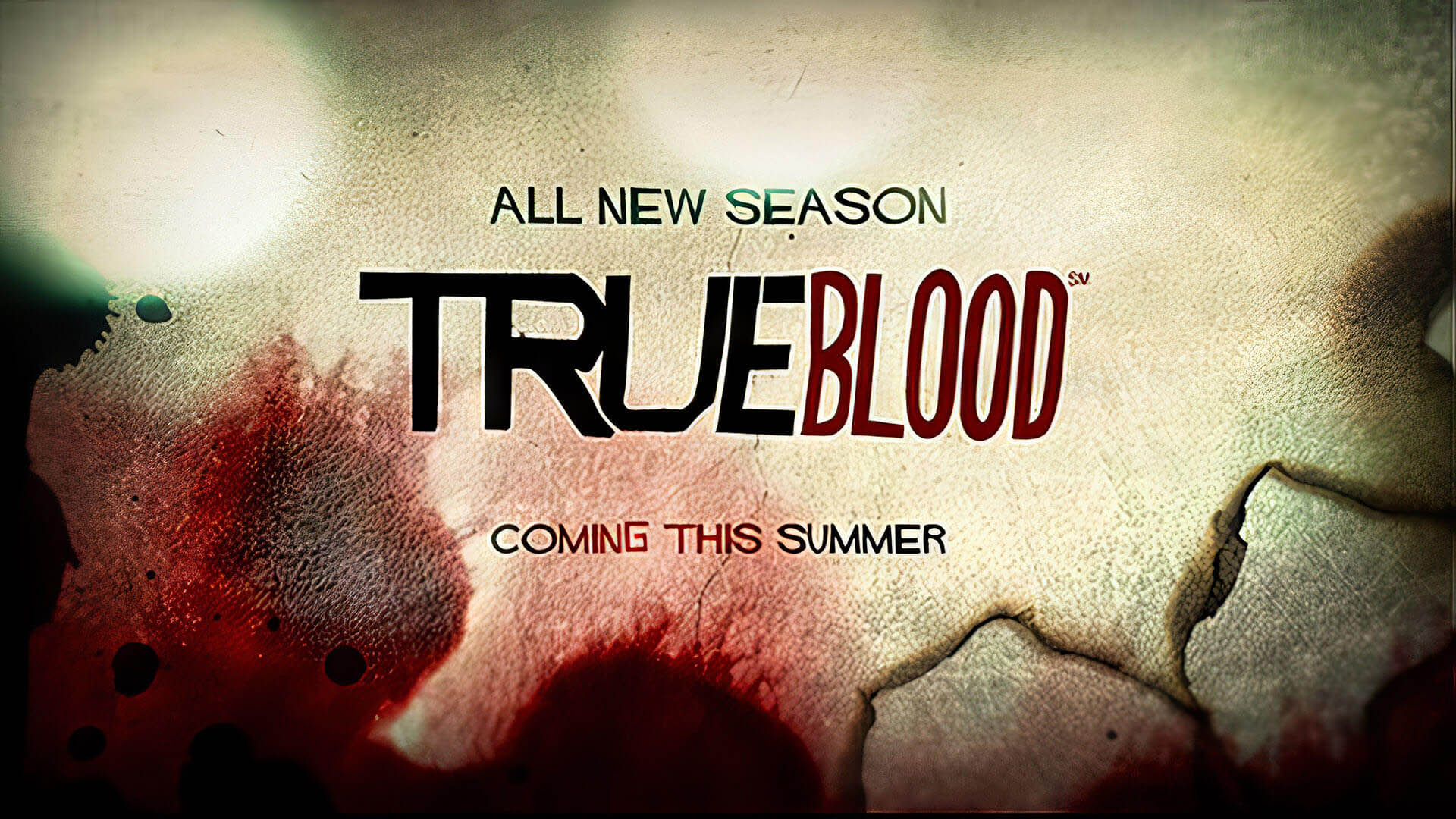 Trueblood_Gallery_05