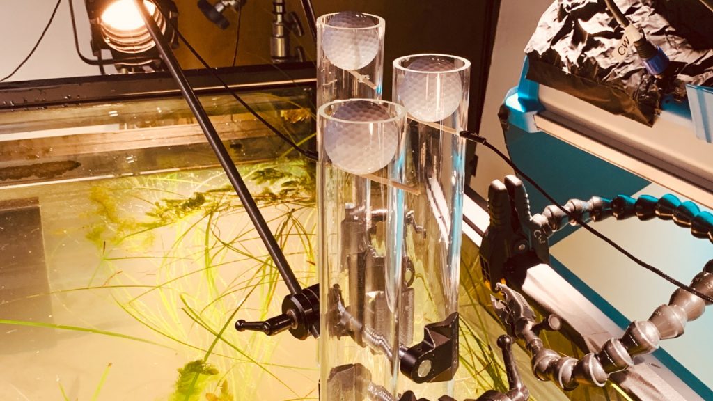 United_Golder_Gallery_07