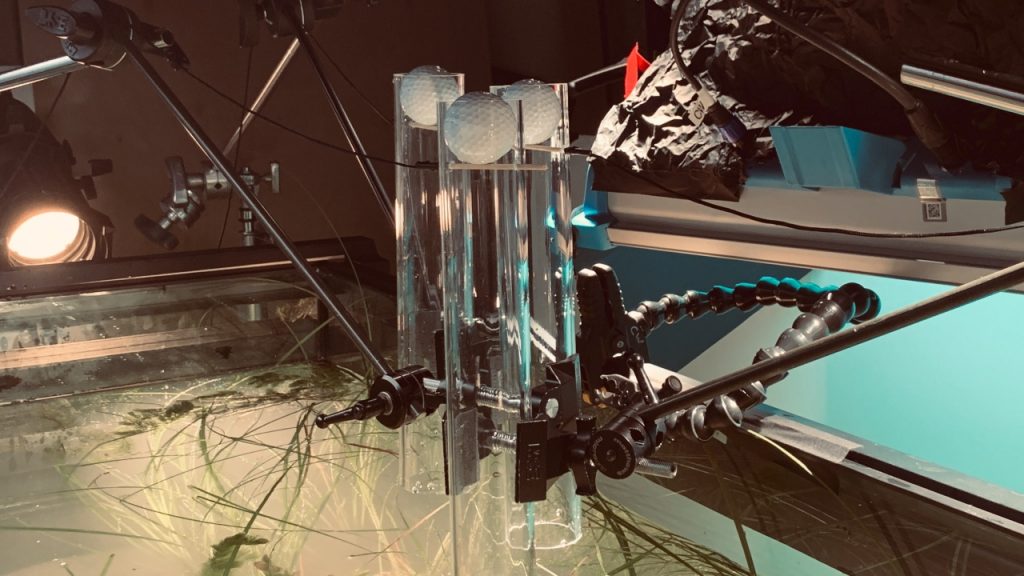 United_Golder_Gallery_08